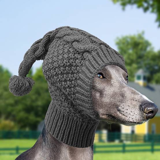 Bonnet tricoté pour chien l - IntiMeg - Image 3