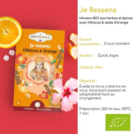 Tisane Bio Je Ressens Gamme Chakra - Saveurs épicées et acidulées - Éveille les sens - créativité, imagination, passion - Image 2