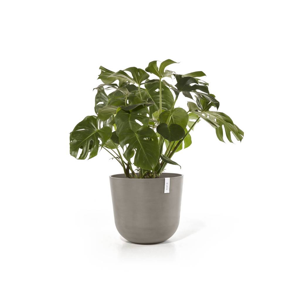 Ecopots - Pot Rond Oslo 55 Taupe - Ø 55 x H. 47,9 cm - 85,6 L ECOPOTS - Image 3