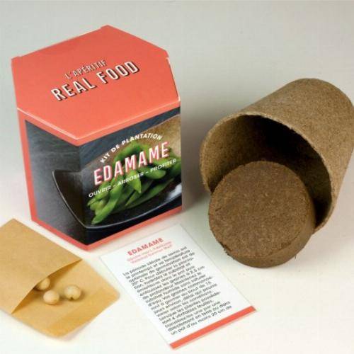 Kits d'auto culture - Tournesol - Image 3