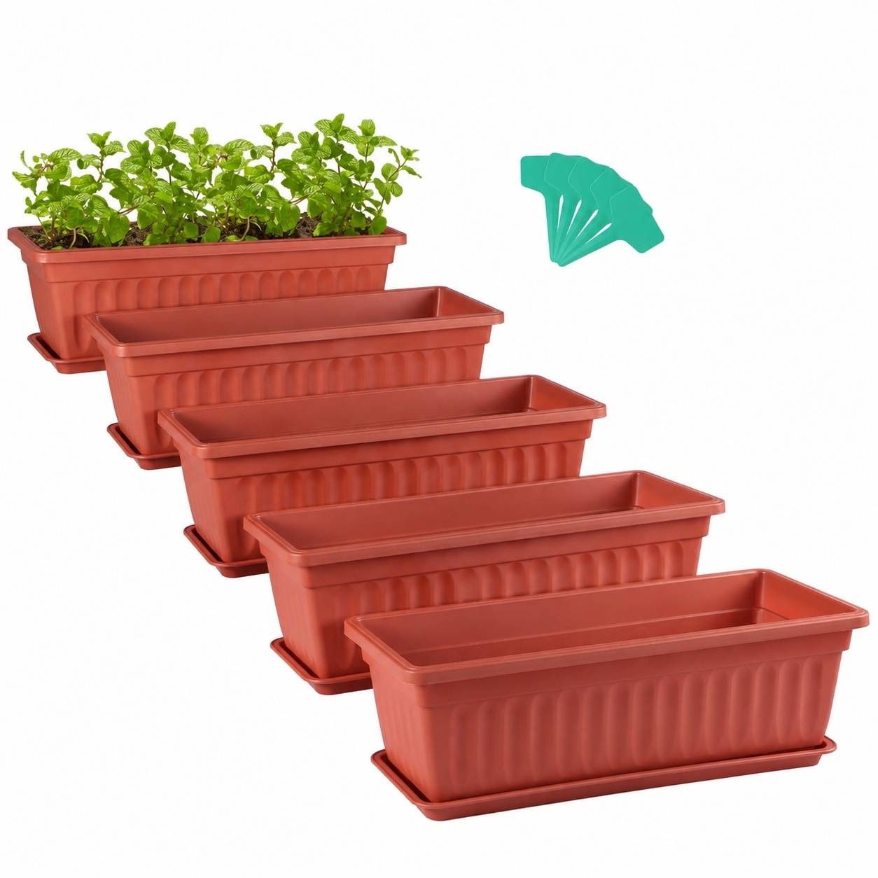Jardinière Rectangulaire avec Bac et Étiquettes pour Plantes