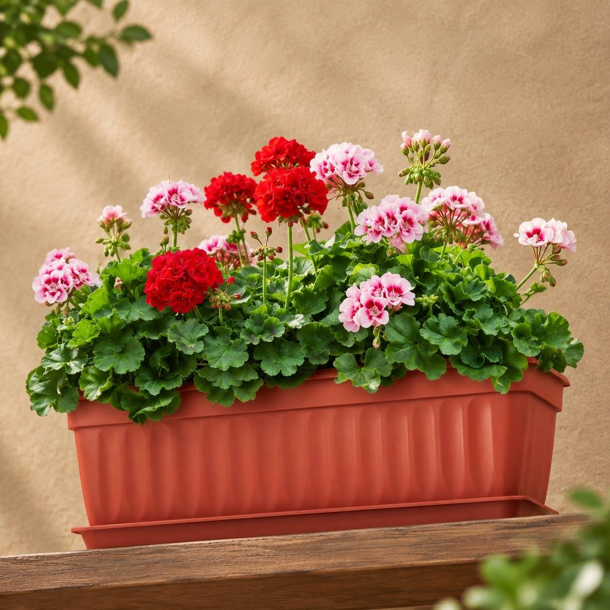 Jardinière Rectangulaire avec Bac et Étiquettes pour Plantes - Image 6