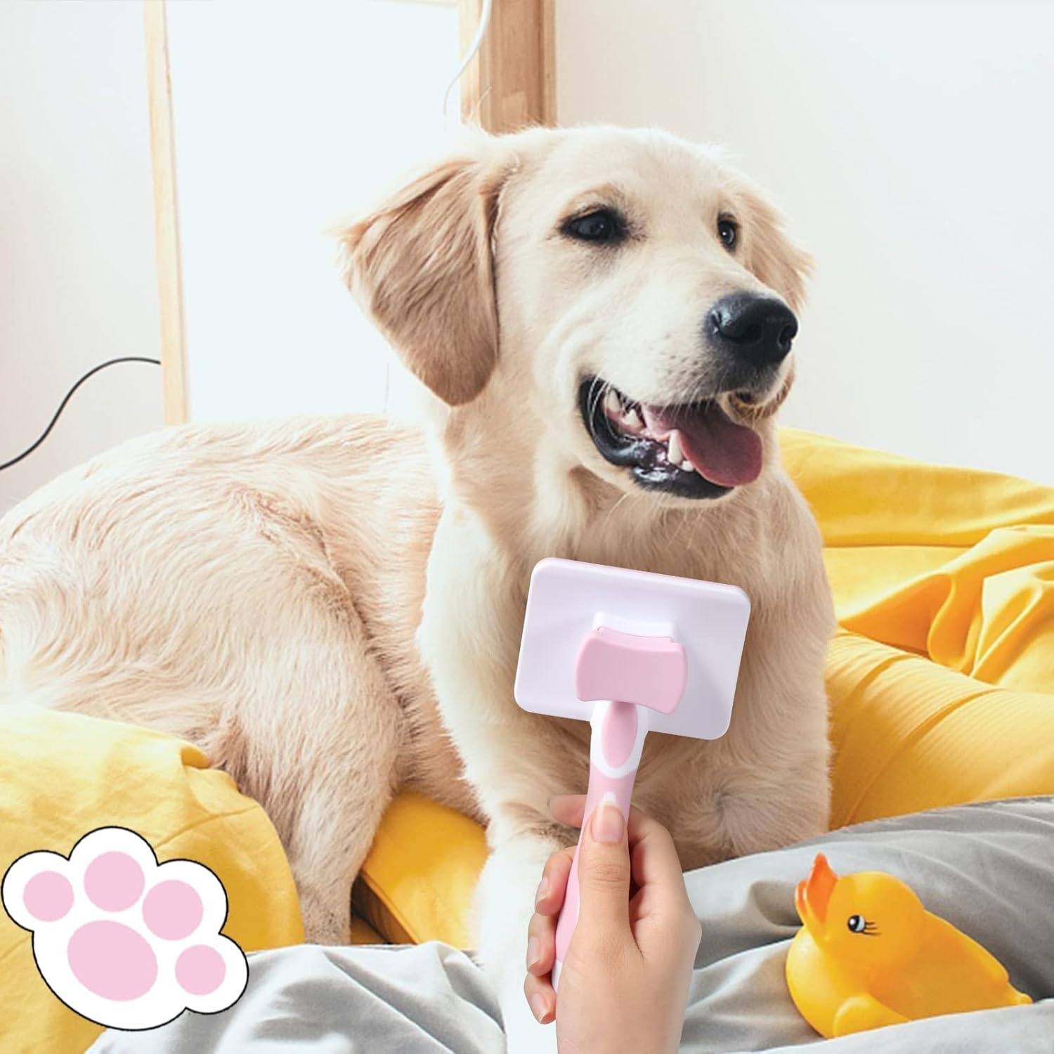 Brosse à Nettoyage pour Animaux (Long/Court Poil)- IntiMeg - Image 4