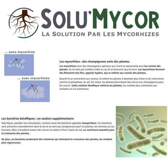 SoluMycor 50 Pastilles Biostimulantes Chanvre Ideal pour Semis et Plantation Mycorhizes et Bacteries Azospirillum - Image 3