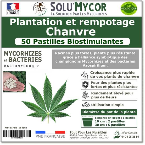 SoluMycor 50 Pastilles Biostimulantes Chanvre Ideal pour Semis et Plantation Mycorhizes et Bacteries Azospirillum - Image 1