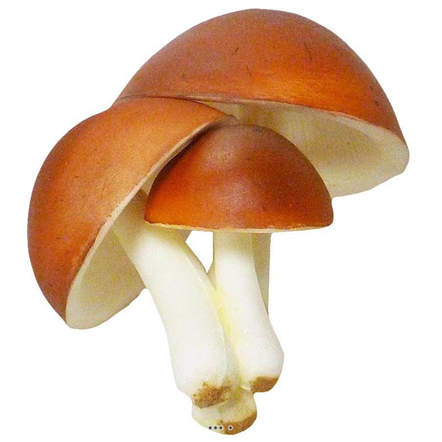Artificielles - Champignons artificiels Shiitake X3 mousse PU superbe - Image 1