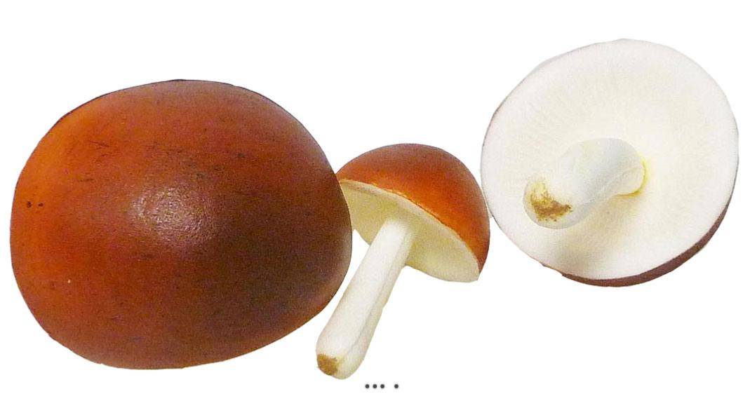 Artificielles - Champignons artificiels Shiitake X3 mousse PU superbe - Image 3