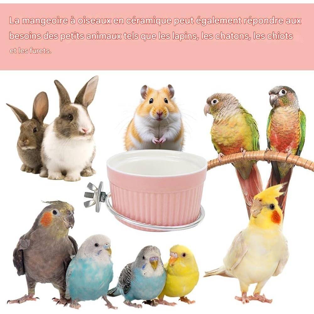 Coupe d'alimentation pour oiseaux - Lytech - Image 3