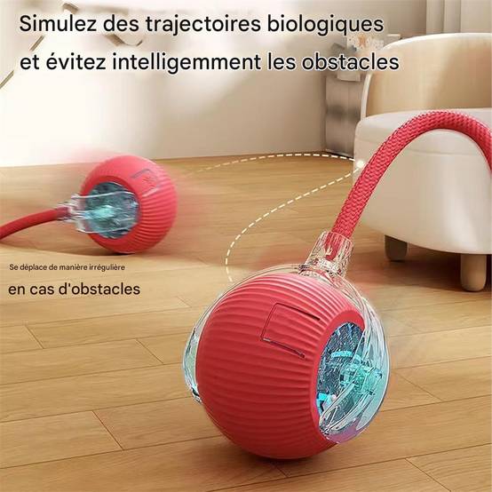 Jouet à bille roulante pour chat DtopbuyAge - Image 3