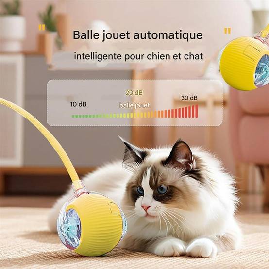 Jouet à bille roulante pour chat DtopbuyAge - Image 4