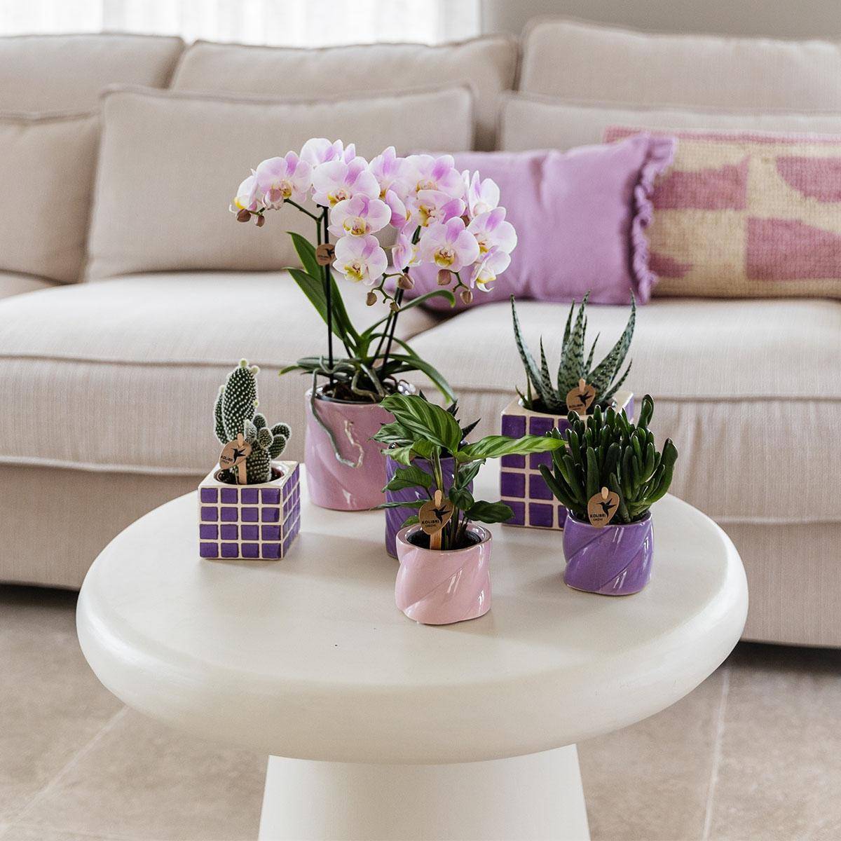 Pot décoratif Mosa - Lilac- La Green Touch - Image 6