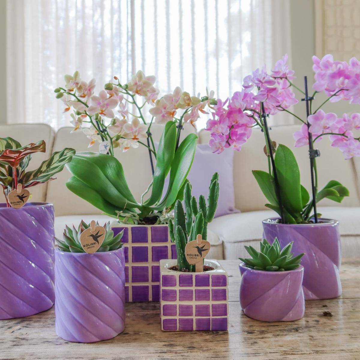 Pot décoratif Mosa - Lilac- La Green Touch - Image 5