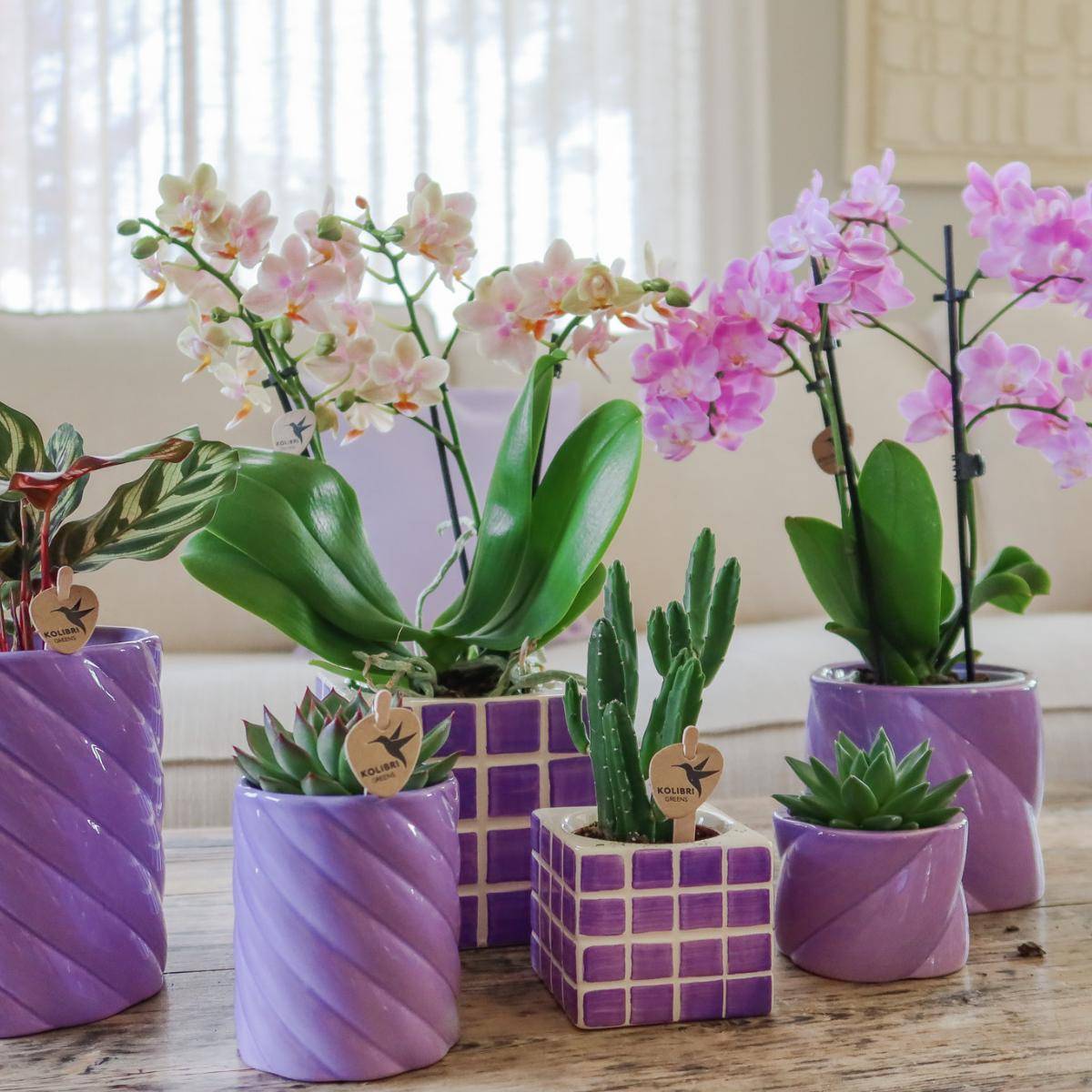 Pot décoratif Mosa - Lilac- La Green Touch - Image 4