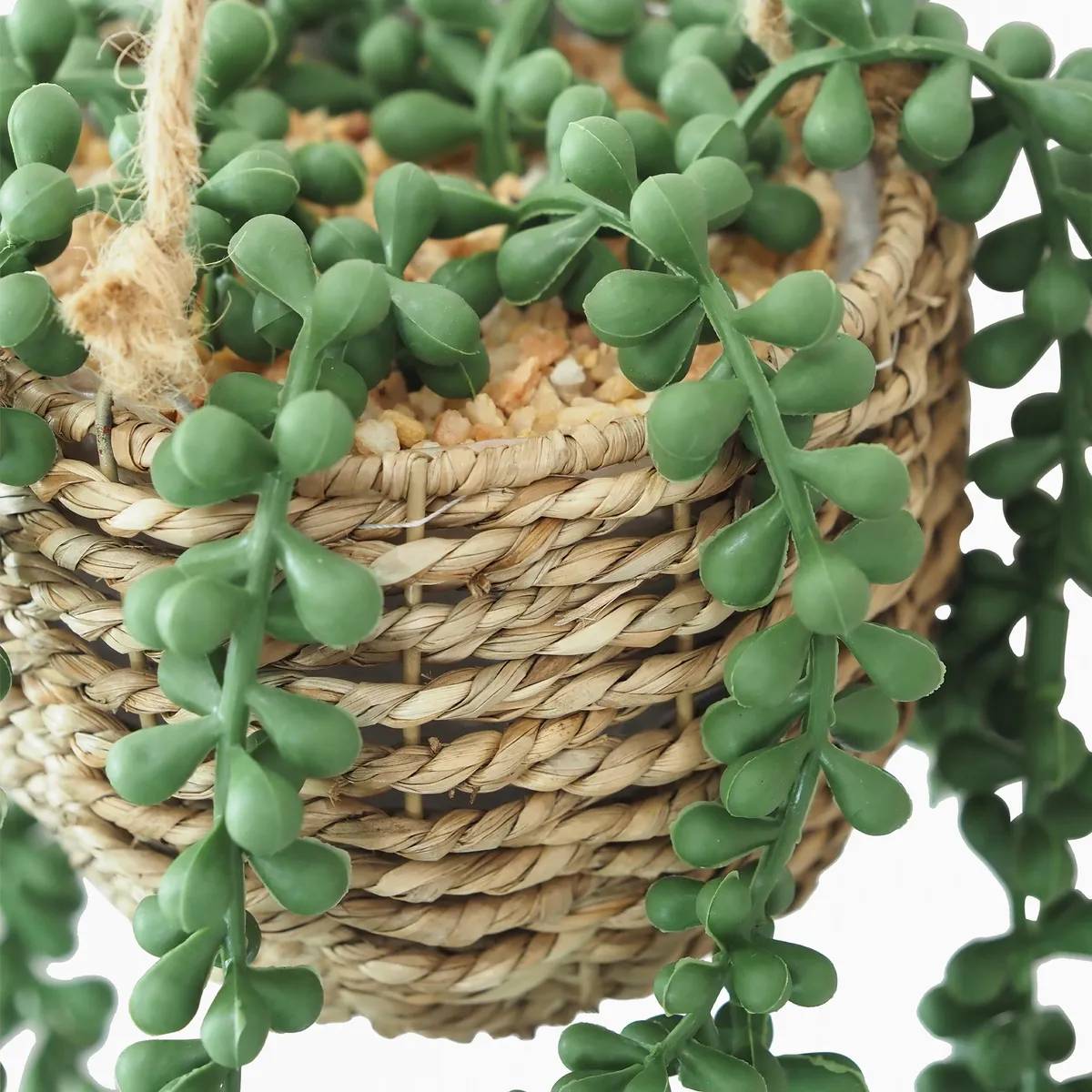 Ligne Deco - Succulente artificielle suspension 60cm - Image 4