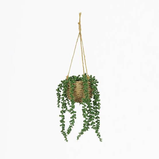 Ligne Deco - Succulente artificielle suspension 60cm - Image 2
