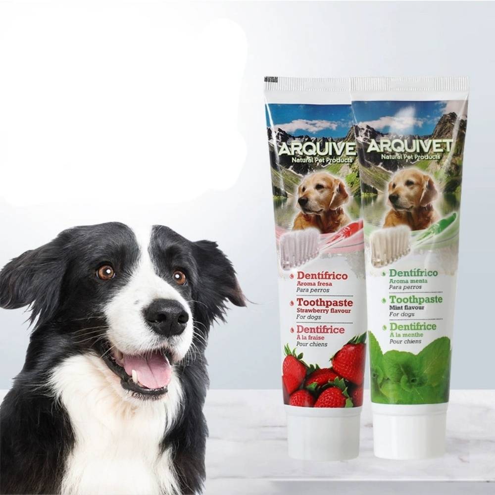 IntiMeg - Ensemble de brosses à dents pour chien Saveur menthe IntiMeg - Image 1