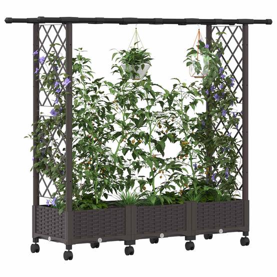 Lit surélevé avec treillis toit polypropylène patio terrasse marron 164x40x127cm - ComfortXL Outdoor Living - Image 3