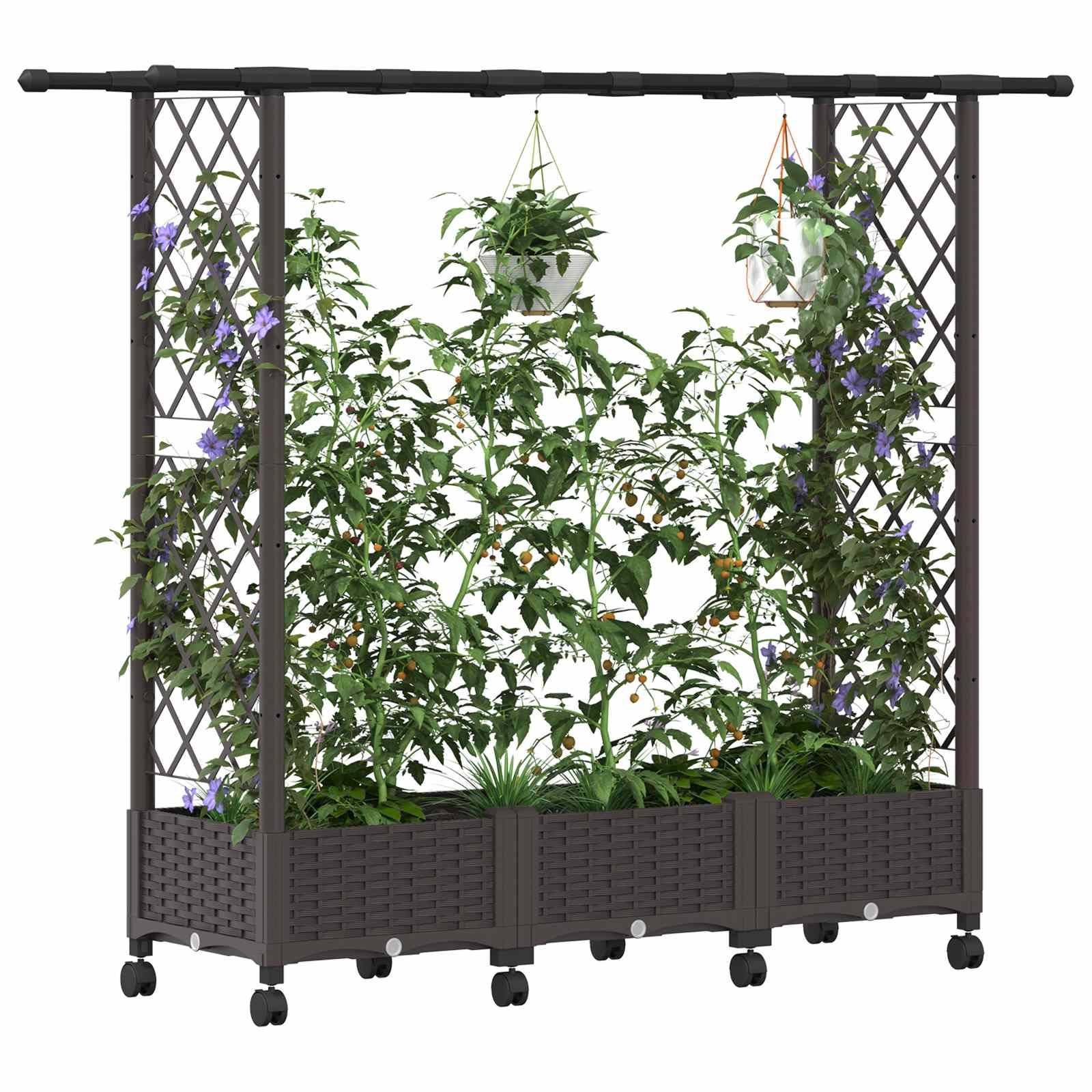 Lit surélevé avec treillis toit polypropylène patio terrasse marron 164x40x127cm - ComfortXL Outdoor Living - Image 3