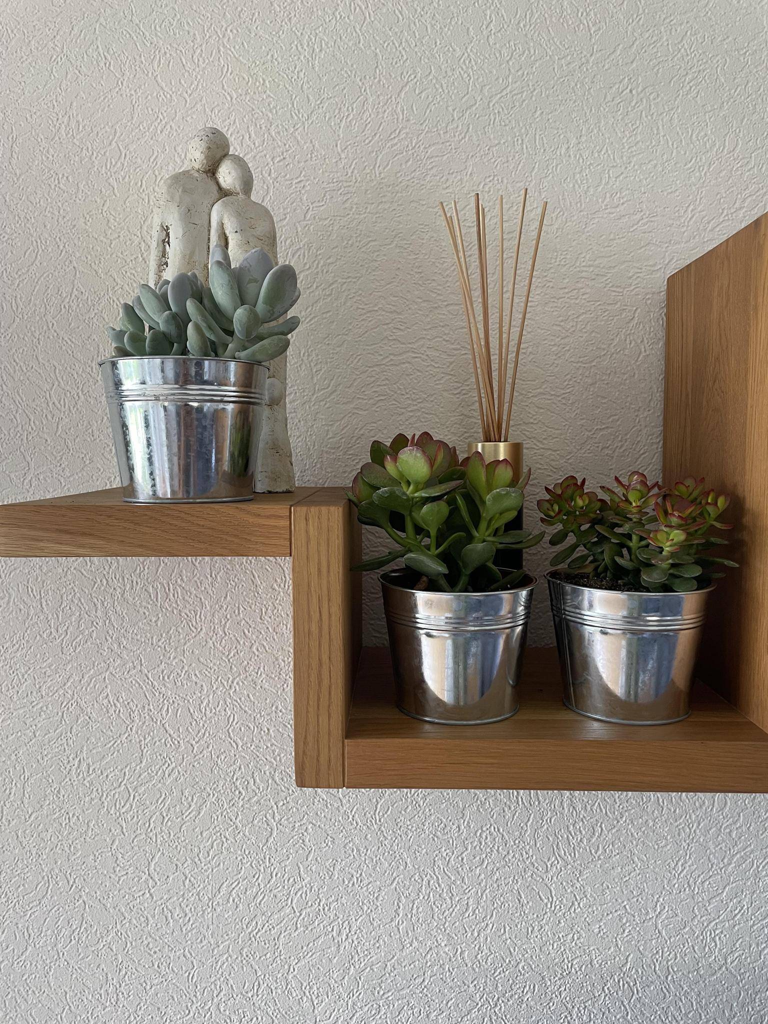Ensemble de 3 Succulentes en Zinc- La Green Touch - Image 3
