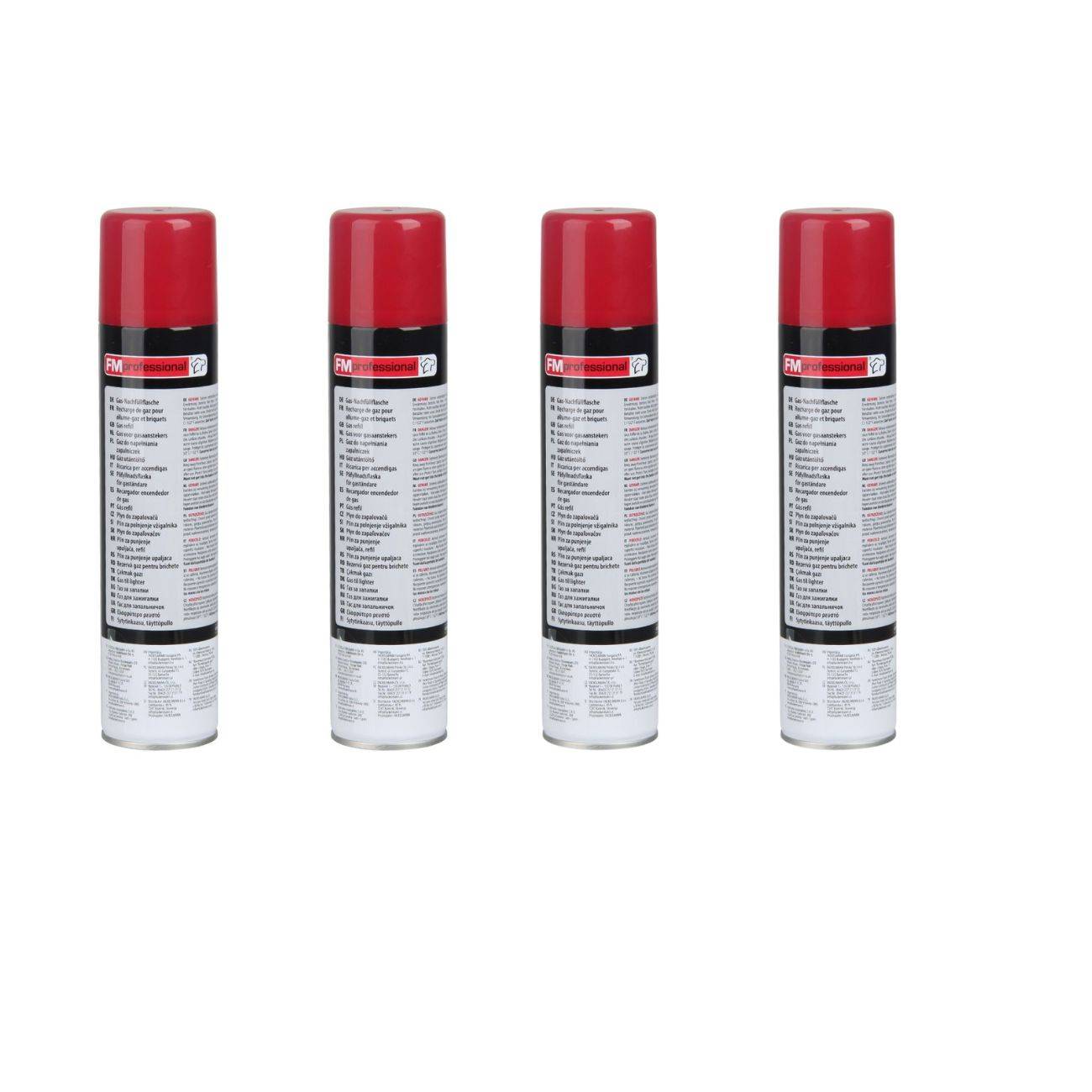 Ensemble de 4 Recharges de gaz 300 ml FM Professional