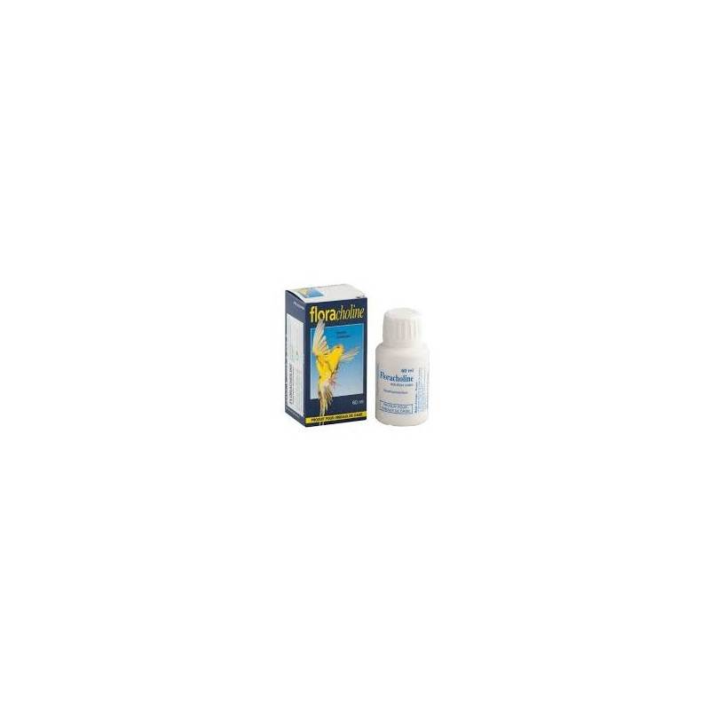 FLORACHOLINE - LABORATOIRE MOUREAU 60