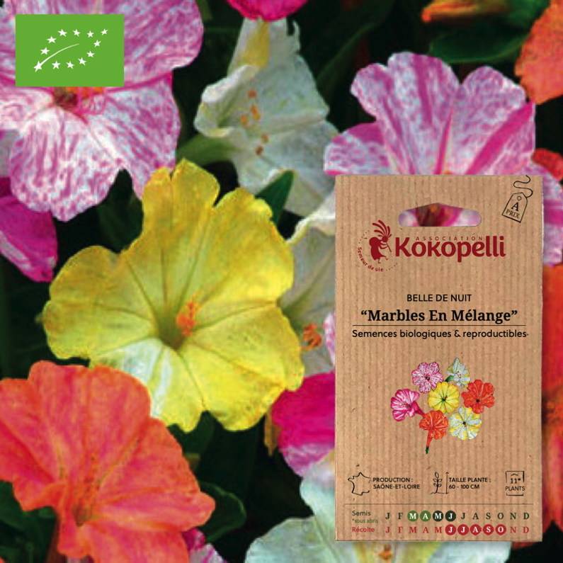 Association Kokopelli - Belle de Nuit Marbles En Mélange- Graines bio à semer - Image 1