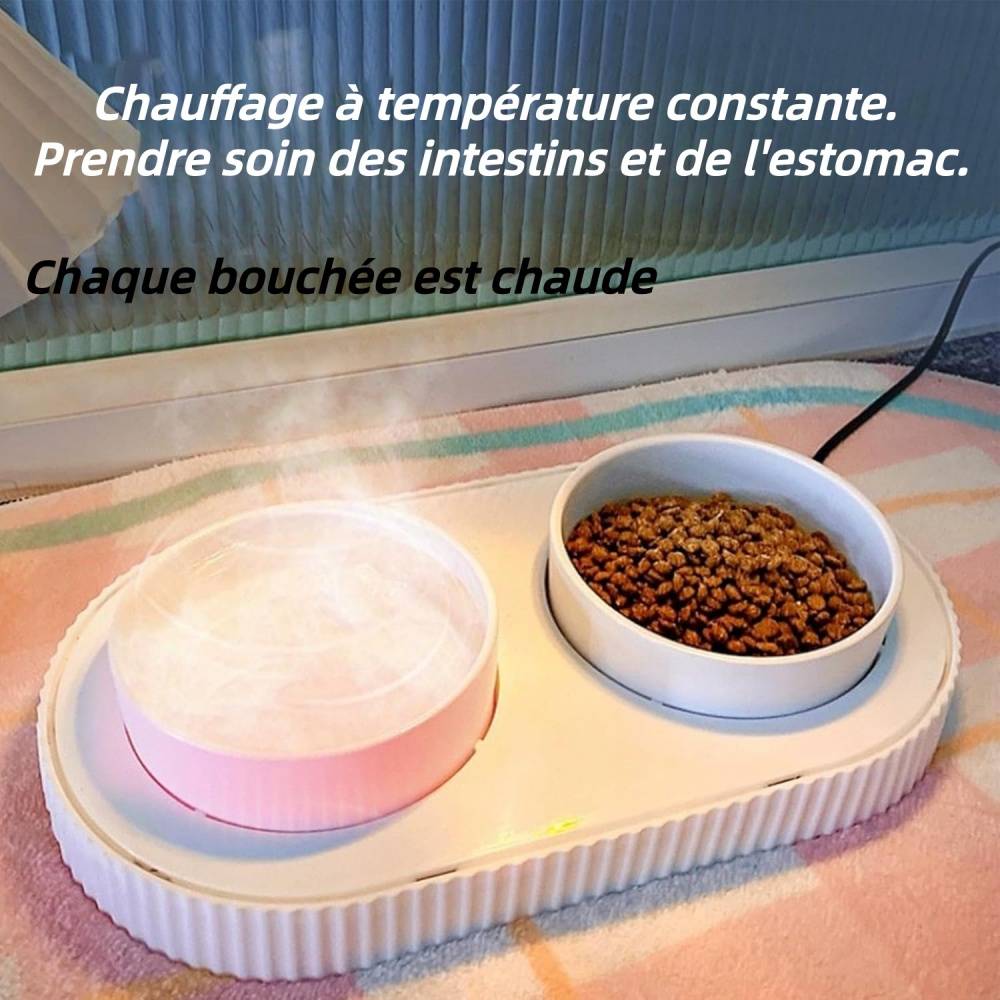 Double Gamelle en Céramique pour Chats Intérieurs ou Extérieurs Verte - Lytech - Image 3