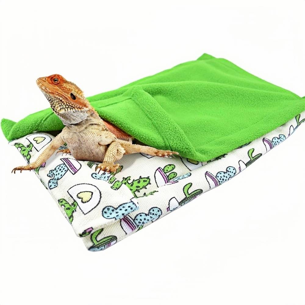 Lit pour dragon barbu DtopbuyAge - Image 1