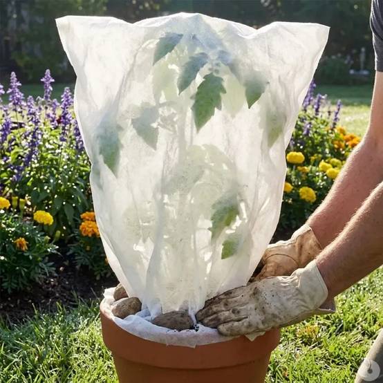 Couverture végétale non tissée 1x1,5m protection plantes - Image 1