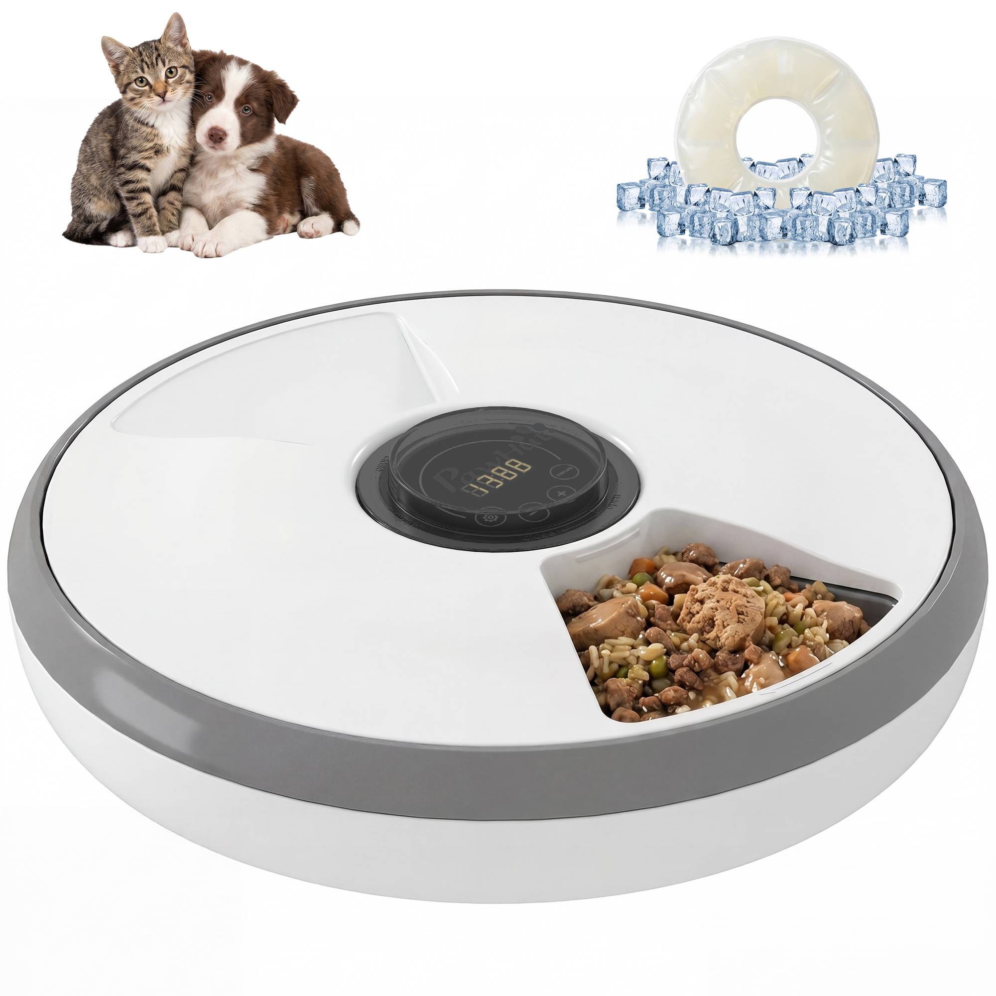 Distributeur automatique de nourriture pour chats et chiens avec minuterie et affichage LED, 1 à 6 repas par jour, pour aliments secs et humides - Image 1