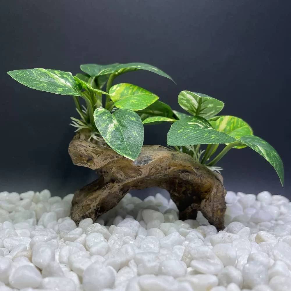 IntiMeg - Décoration d'aquarium en racines d'arbres artificiels IntiMeg - Image 3
