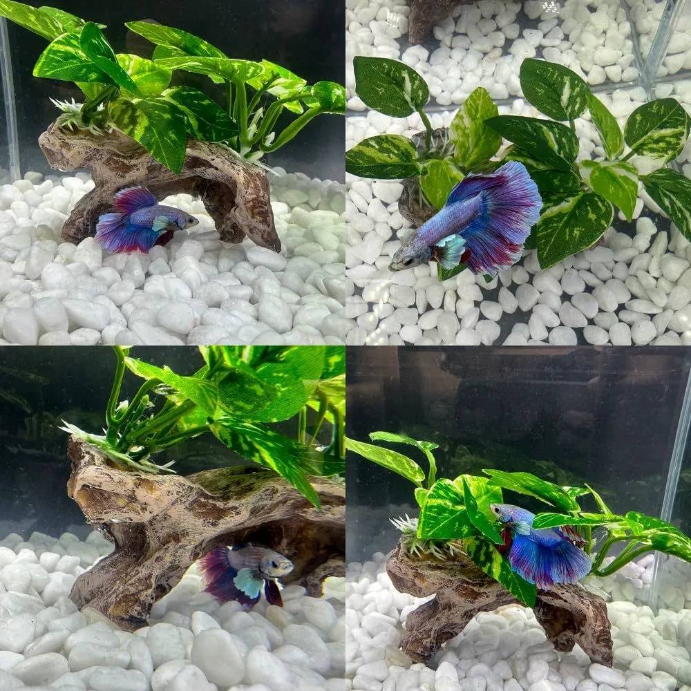 IntiMeg - Décoration d'aquarium en racines d'arbres artificiels IntiMeg - Image 4