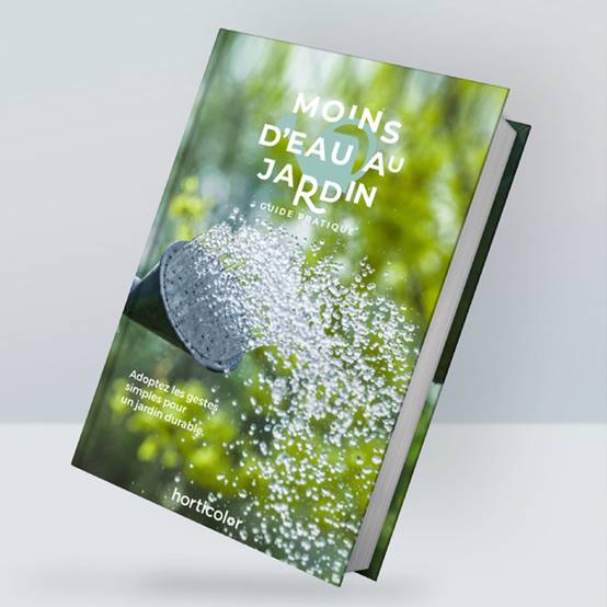 Promesse de Fleurs - Moins d'eau au Jardin
