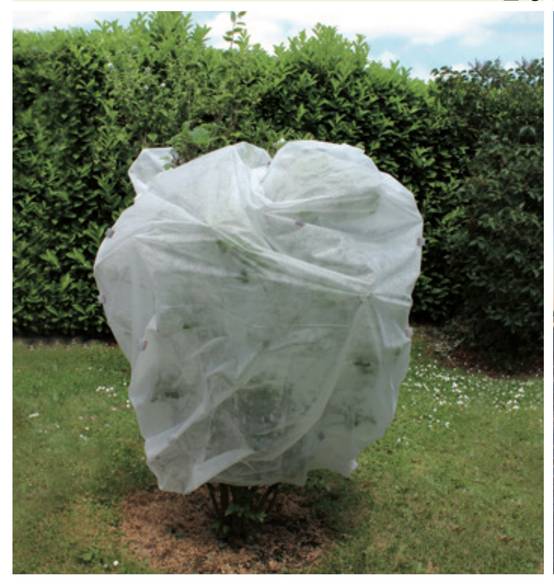 Jany France - Voile d'hivernage 30g/m² - 1,20x150 m - En polypropylène non tissé - blanc Jany