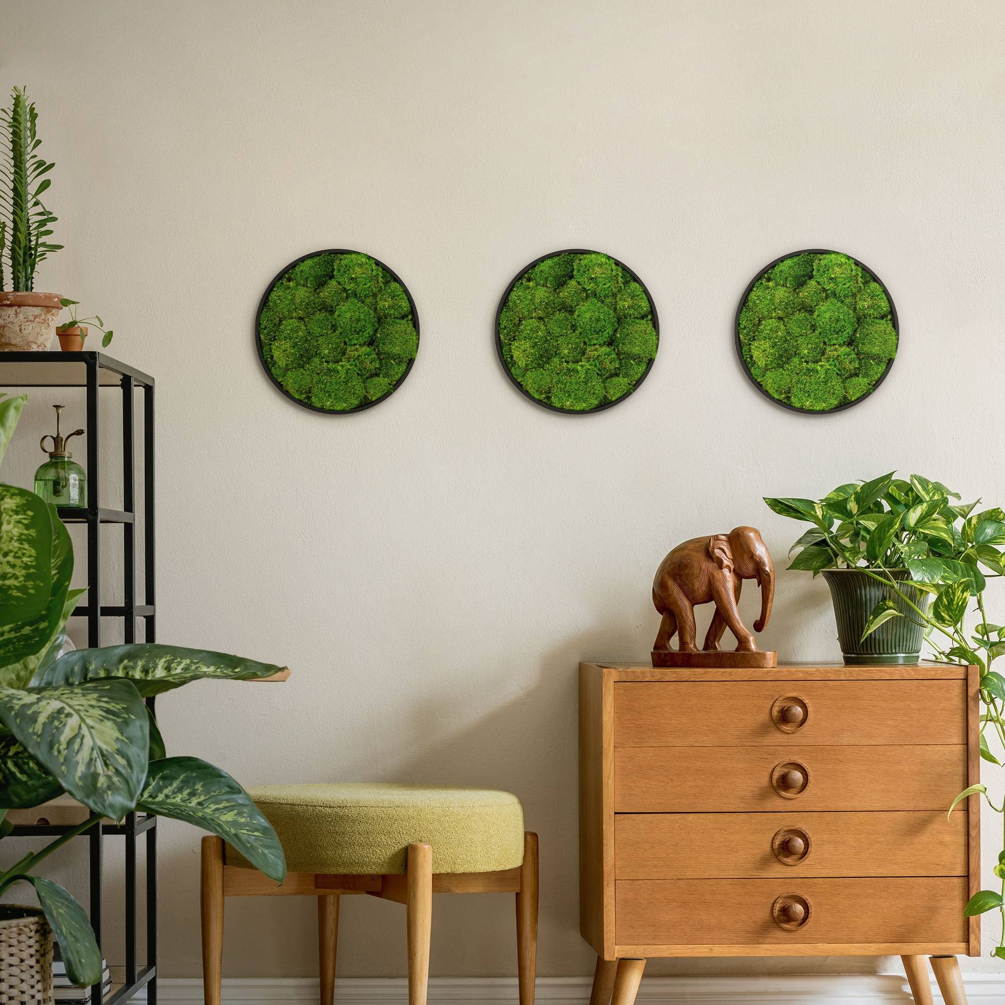 Ecd-Germany - Tableau en mousse boule stabilisée, ronde, Ø 30 cm, vert, décoration murale végétale d'intérieur, cadre en MDF, sans arrosage ni entretien, effet 3D - Image 9