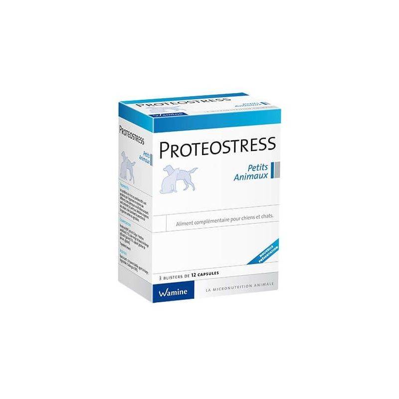 WAMINE PROTEOSTRESS 36 comprimés