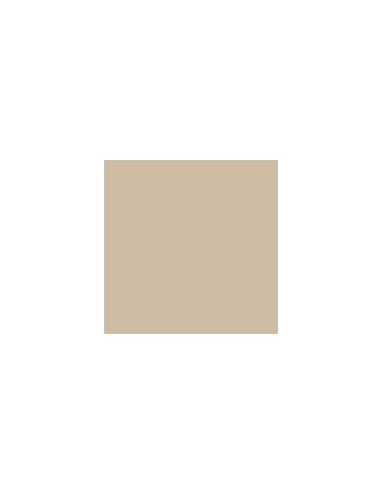 Peinture Acrylique Satin 2.5 Litres Castor - Addict - Image 1
