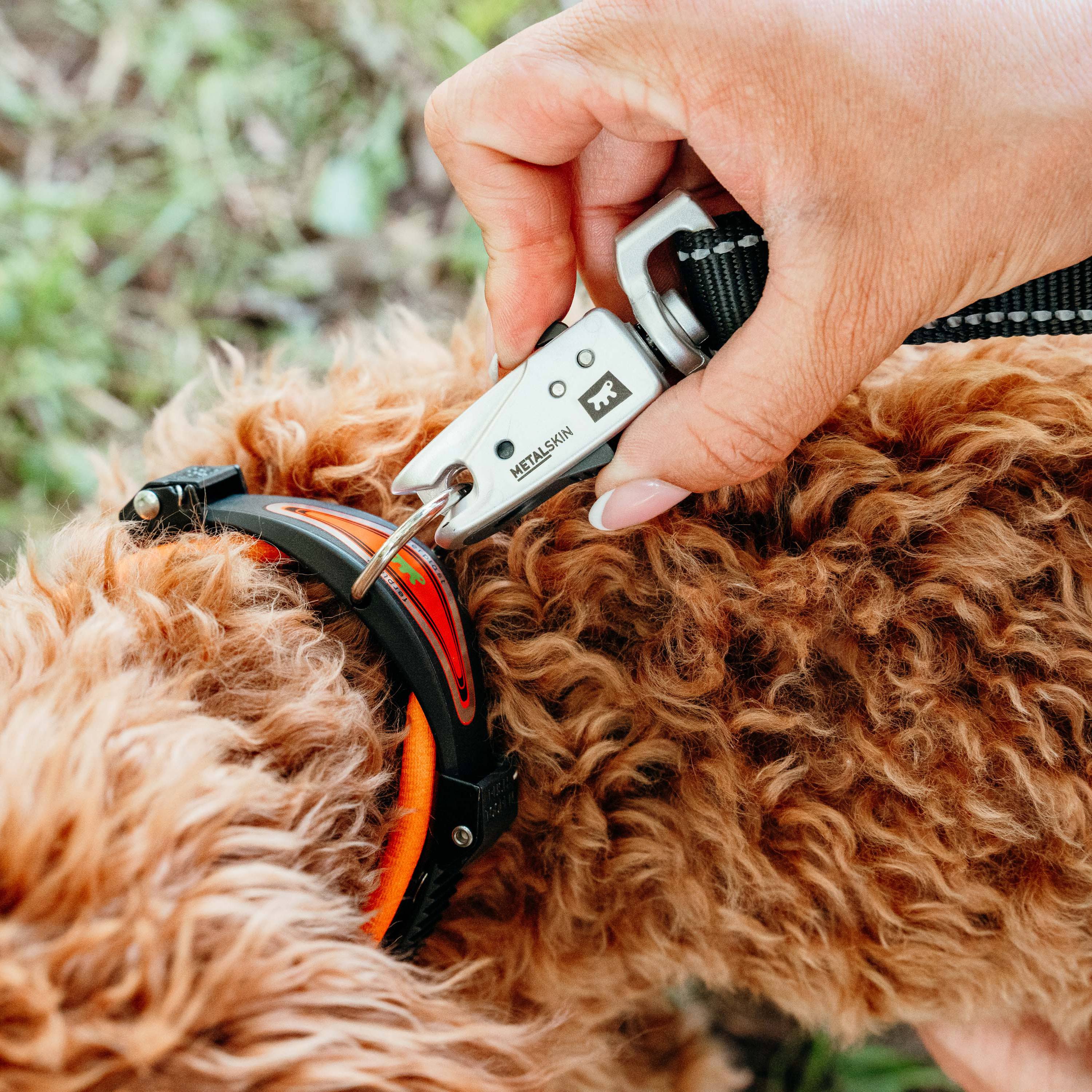 Ferplast - Ferplast Laisse pour chien ERGOFLUO MATIC, Laisse pour petit chien, Mousqueton innovant avec mécanisme magnétique, Poignée rembourrée, Nylon. Taille - Image 3