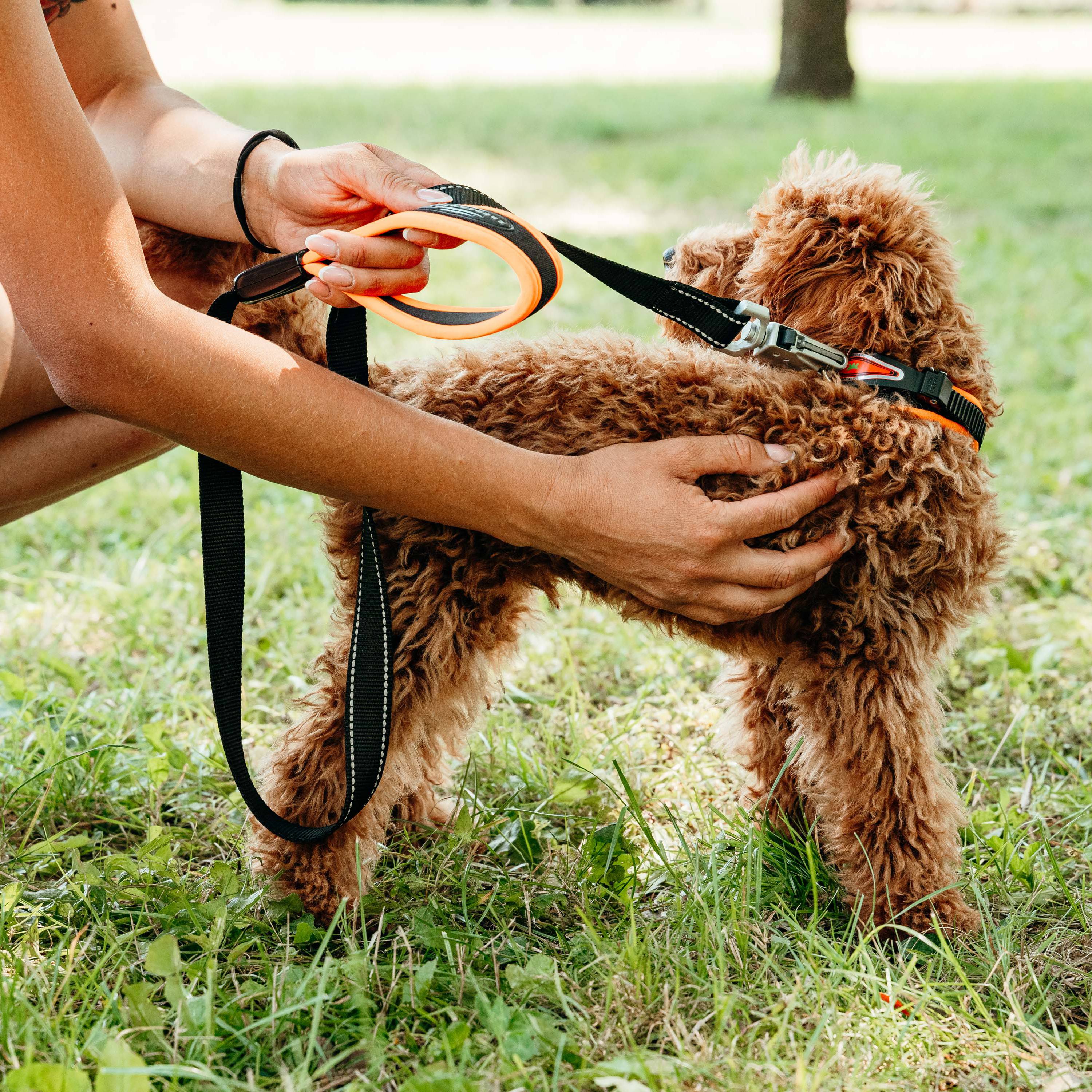 Ferplast - Ferplast Laisse pour chien ERGOFLUO MATIC, Laisse pour petit chien, Mousqueton innovant avec mécanisme magnétique, Poignée rembourrée, Nylon. Taille - Image 4