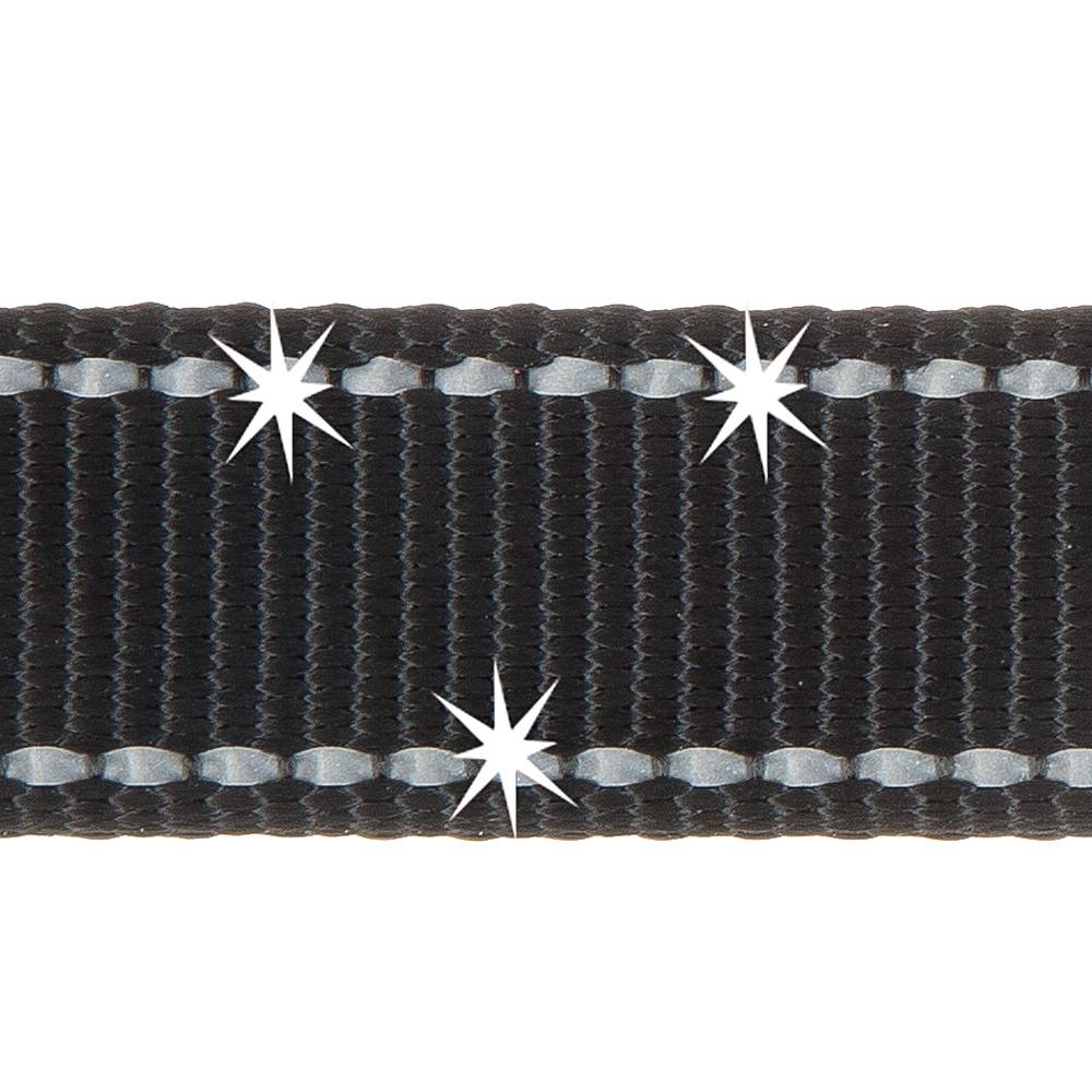 Ferplast - Ferplast Laisse pour chien ERGOFLUO MATIC, Laisse pour petit chien, Mousqueton innovant avec mécanisme magnétique, Poignée rembourrée, Nylon. Taille - Image 8