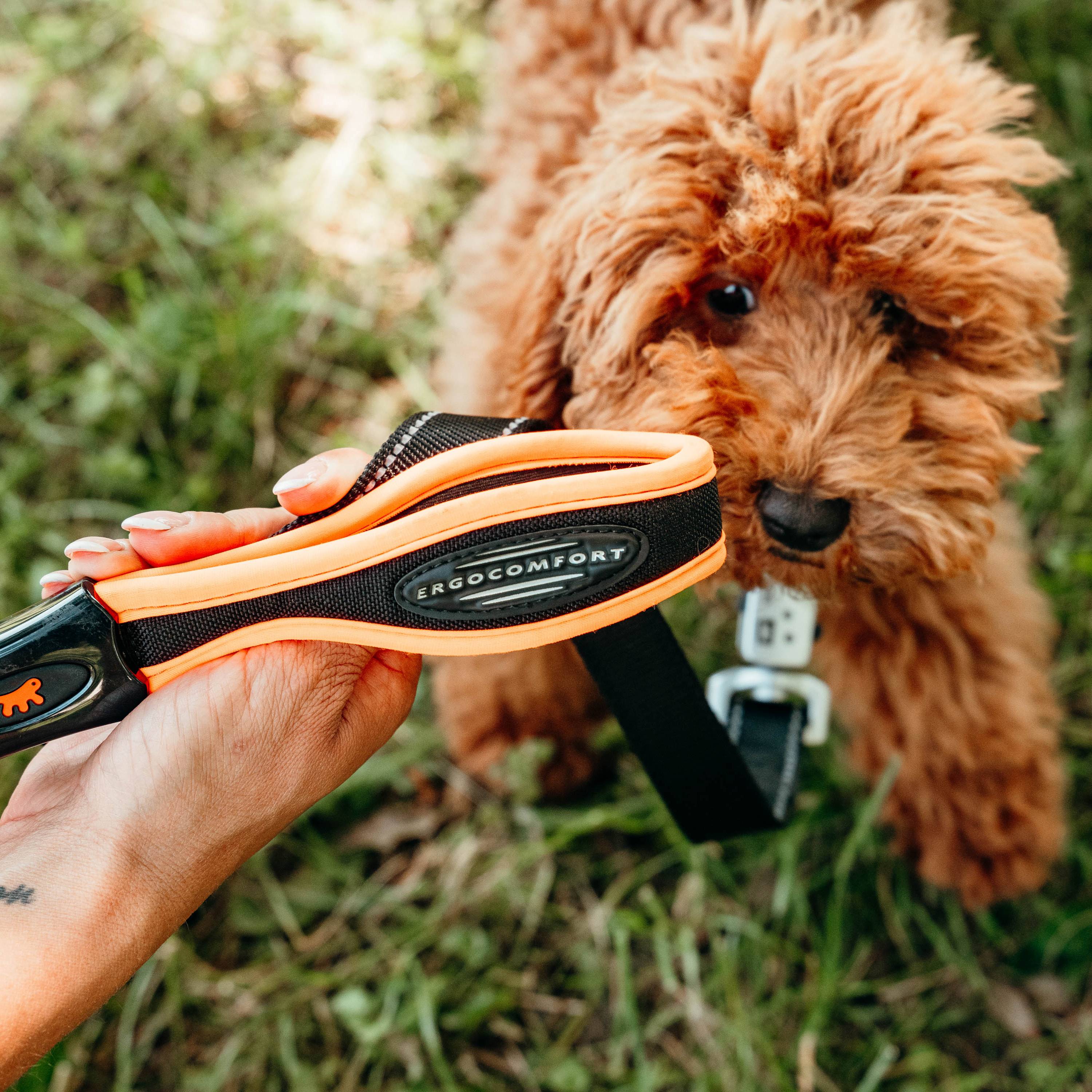 Ferplast - Ferplast Laisse pour chien ERGOFLUO MATIC, Laisse pour petit chien, Mousqueton innovant avec mécanisme magnétique, Poignée rembourrée, Nylon. Taille - Image 5