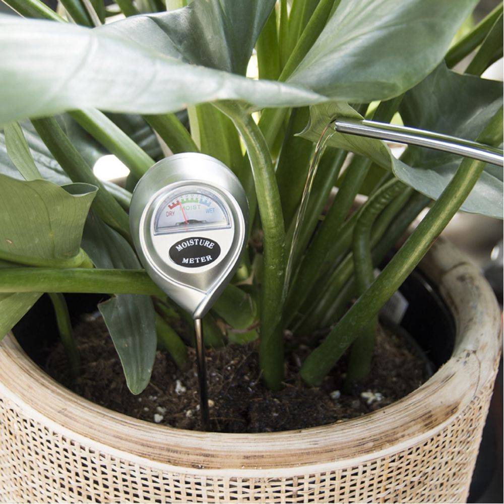 Esschert Design - Hygromètre pour plantes d'intérieur Garden Esschert Design - Image 2