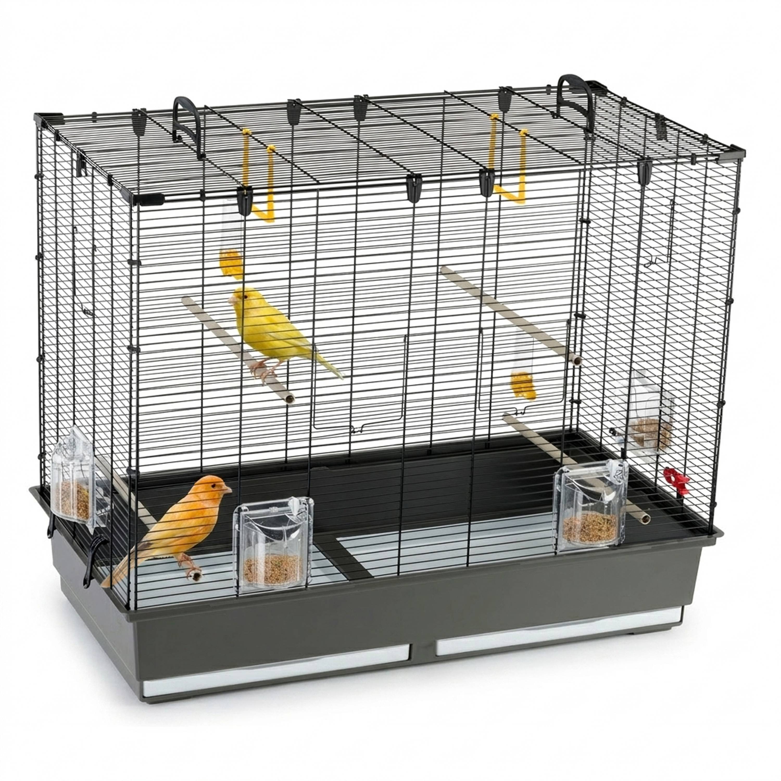 Ferplast - Ferplast Grande Cage pour Canaris, Perruches et Oiseaux Exotiques PIANO 6, avec Mangeoires Pivotantes et Accessoires - Image 4