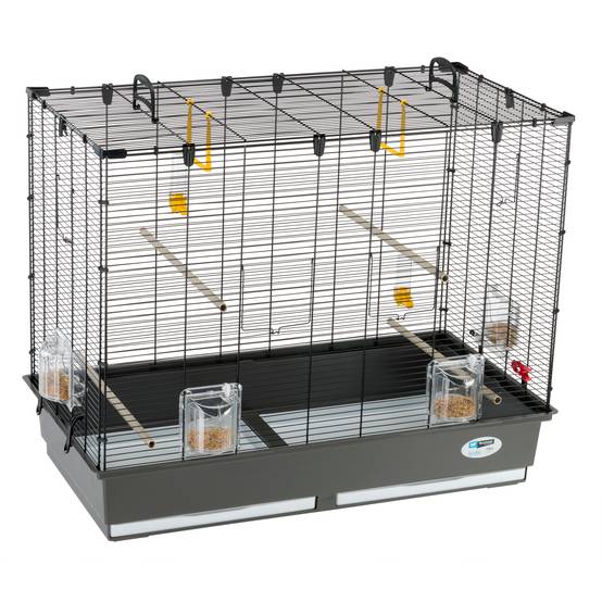 Ferplast - Ferplast Grande Cage pour Canaris, Perruches et Oiseaux Exotiques PIANO 6, avec Mangeoires Pivotantes et Accessoires - Image 1