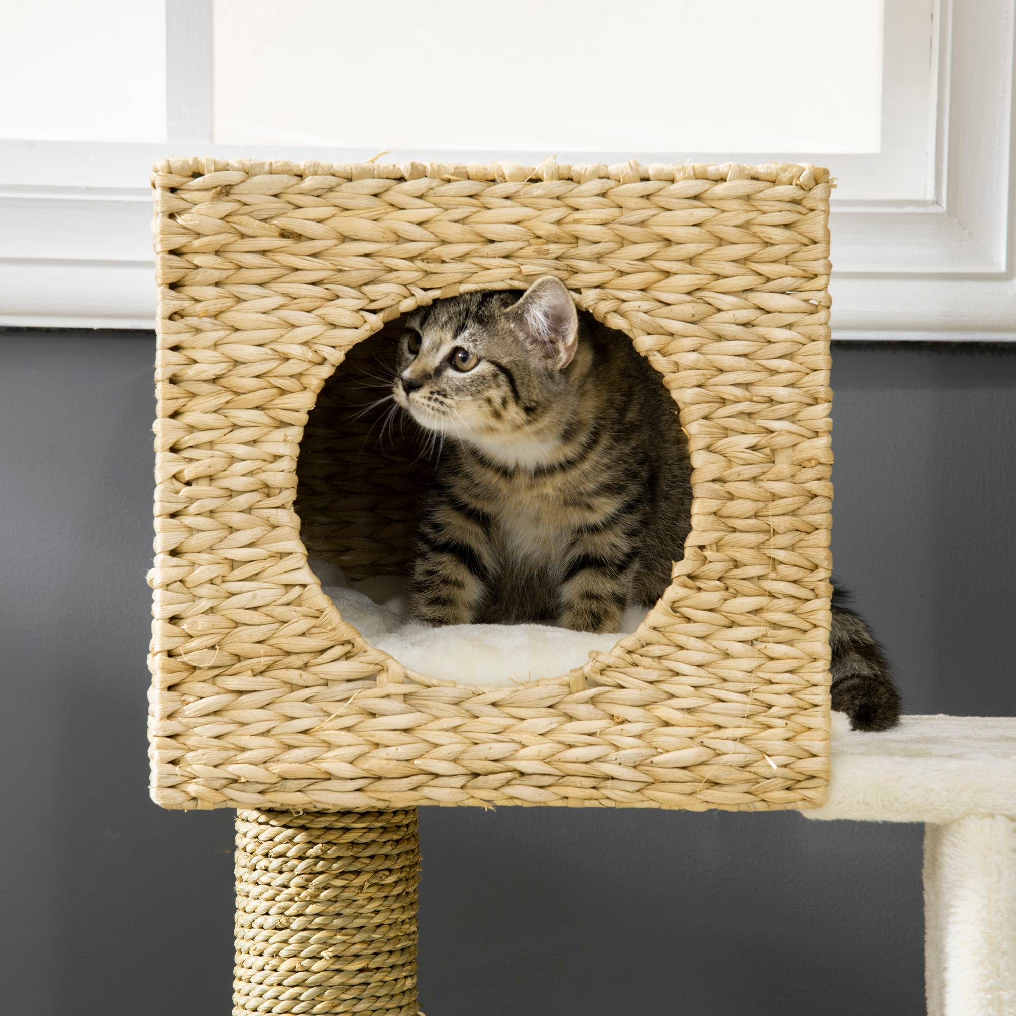 Arbre à Chat Bois Sisal pour Chaton avec Niche et Escalier 100cm Naturel - ComfortXL Pet Living - Image 8
