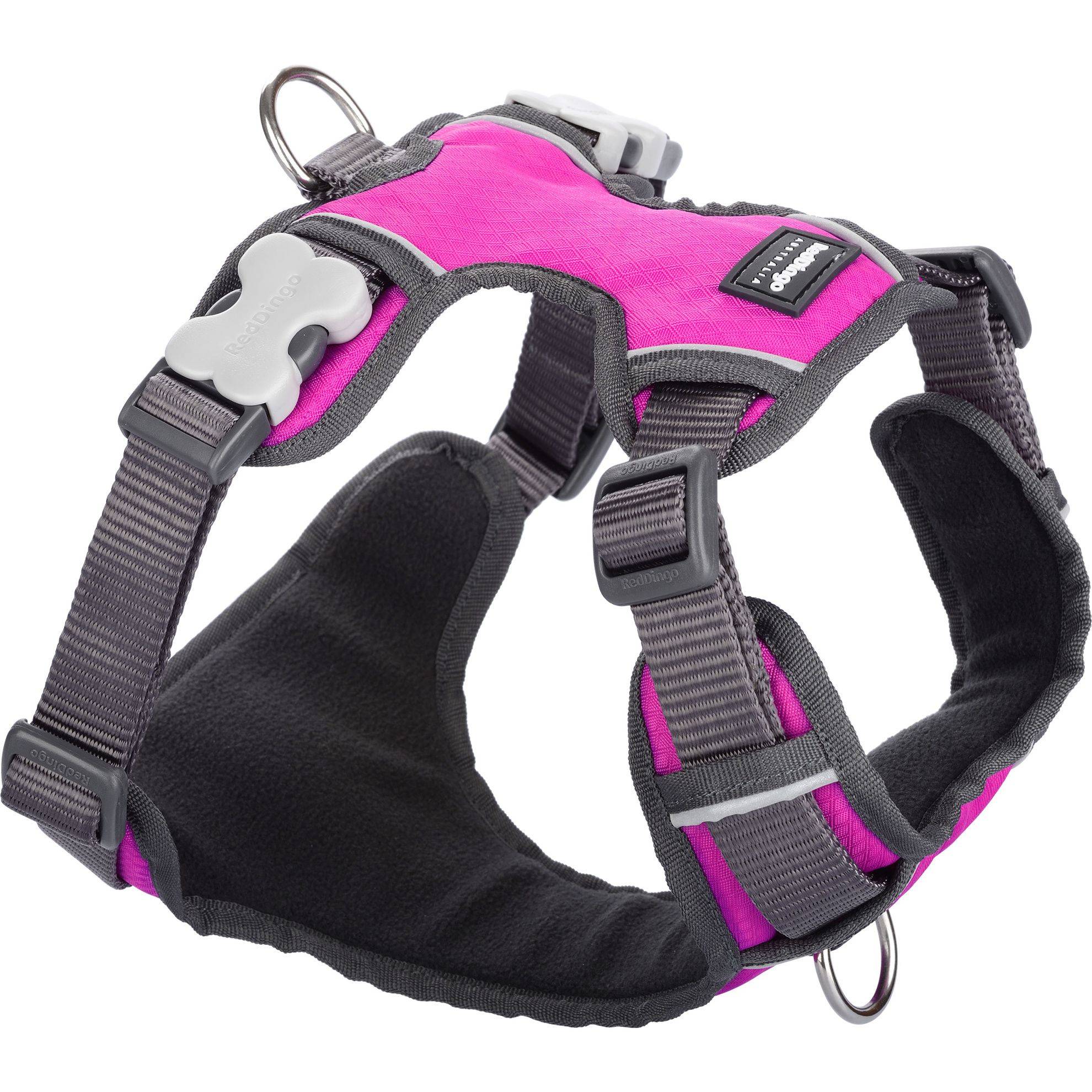 Harnais chien Red Dingo rembourré Rose Taille : T4 RED DINGO