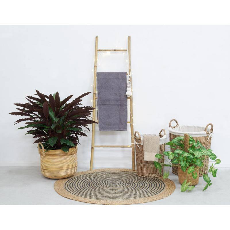 Aubry Gaspard - Cache-pot en poelet et corde Diam 40 cm - Aubry Gaspard - Image 3