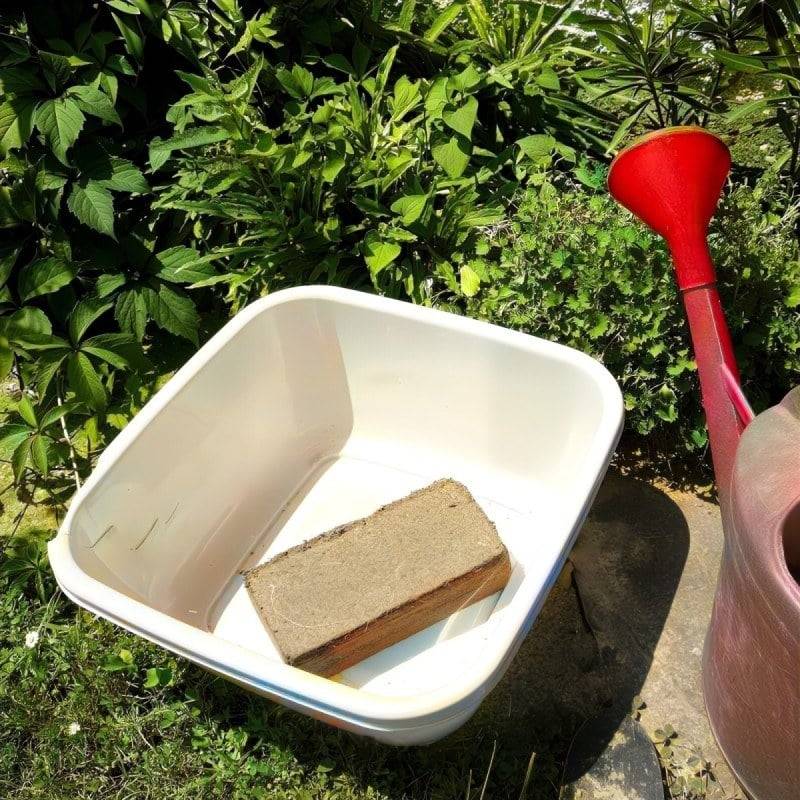 Ferme Du Moutta - Pack de 9 blocs de fibre de coco 9L, 81L de substrat sans additif pour vers - Image 2