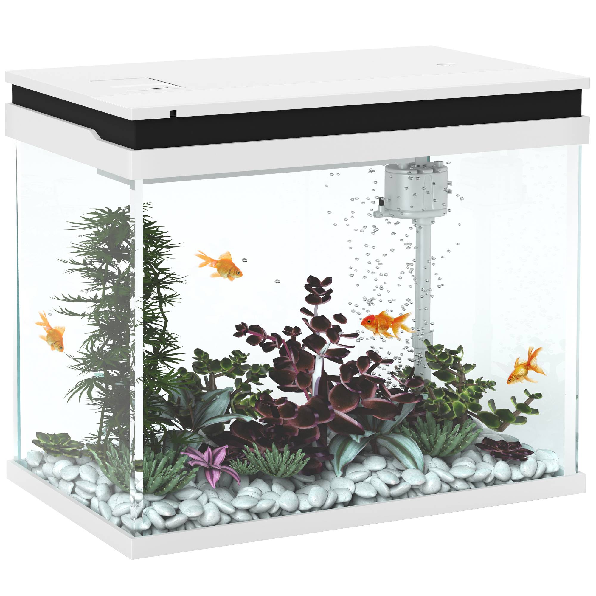 Sans Marque - Aquarium 43L en Verre Trempé avec Tapis de Protection Pour Poissons, Crevettes, Tortues, 50 x 30 x 30 cm, Transparent
