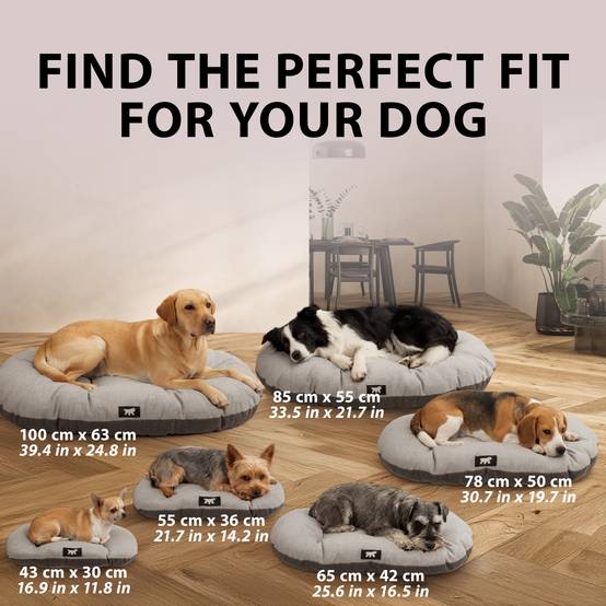 Ferplast - FERPLAST Panier Chien Chat - Coussin pour Chien Chat - Lavable en Machine - Tapis Chien Chat pour Niches et Voitures - Lit pour Chien Chat - Relax, - Image 3
